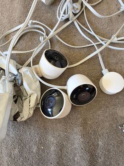 Working Nest cams outdoor all three