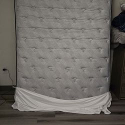 Queen Size Bed And Frame