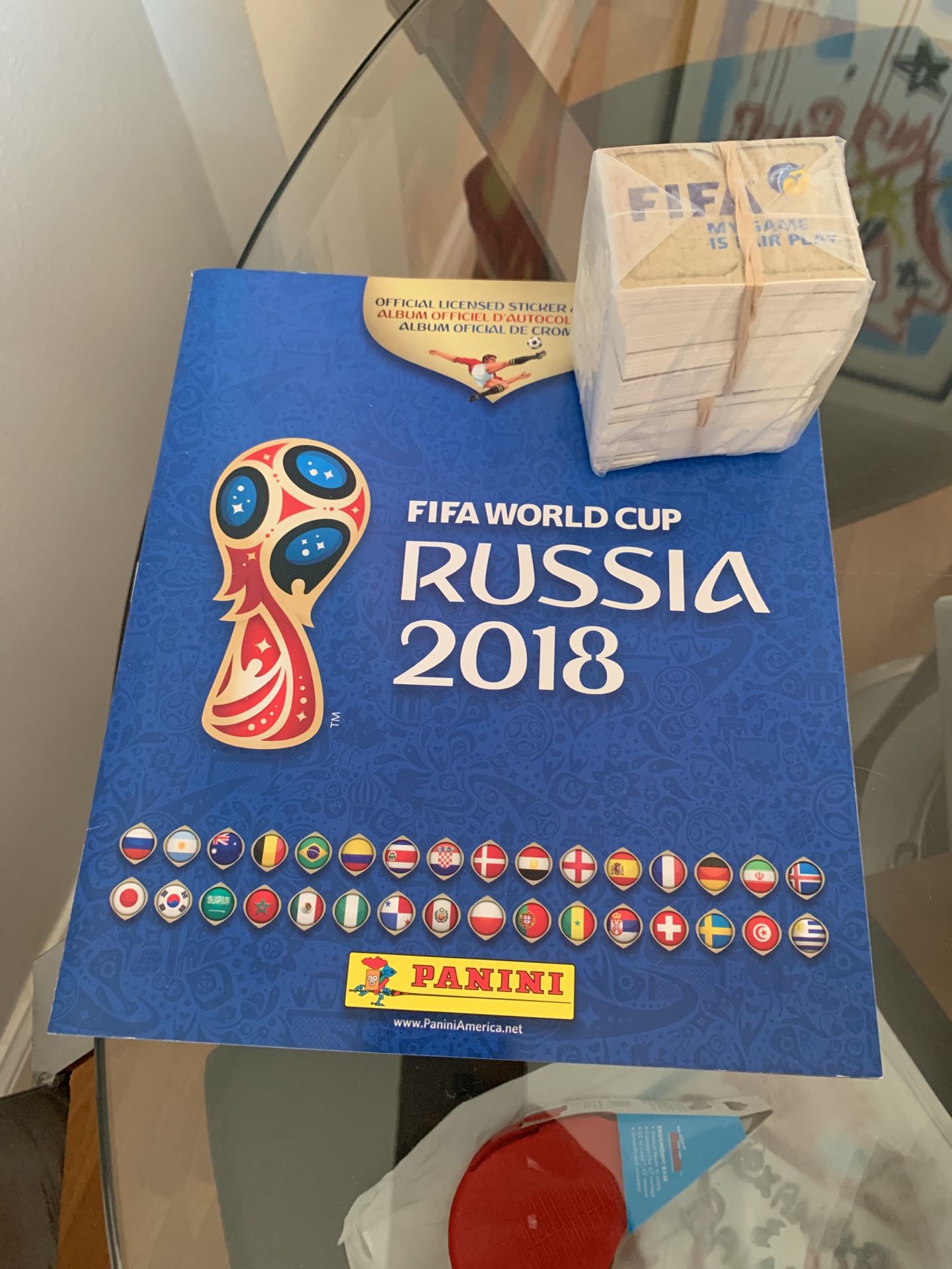 FIFA WORLD CUP ALBUM ~ $5