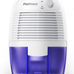 Mini Dehumidifier 