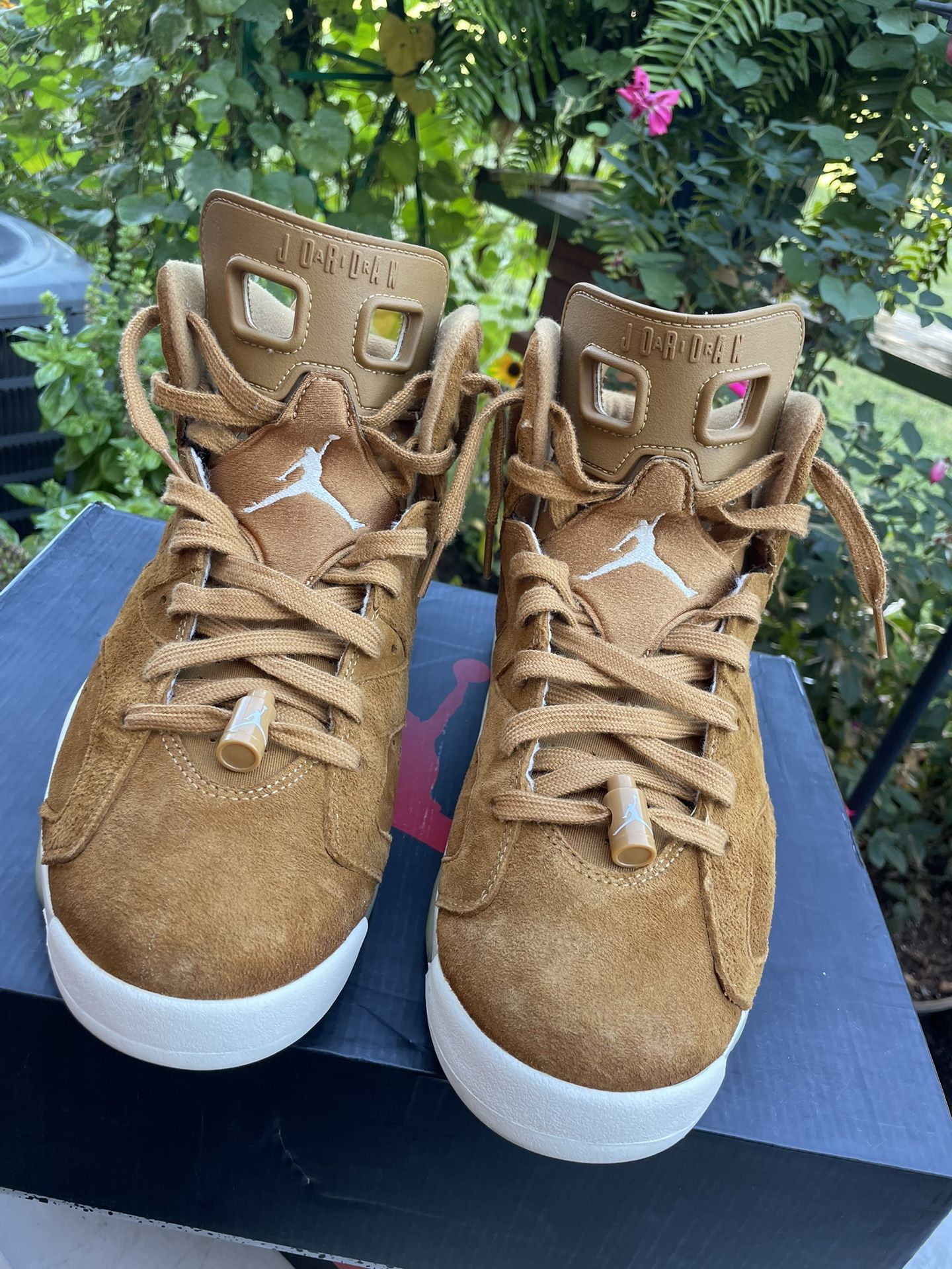 Jordan 6 Wheat 🌾