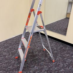 Ladder Flip-N-Lite