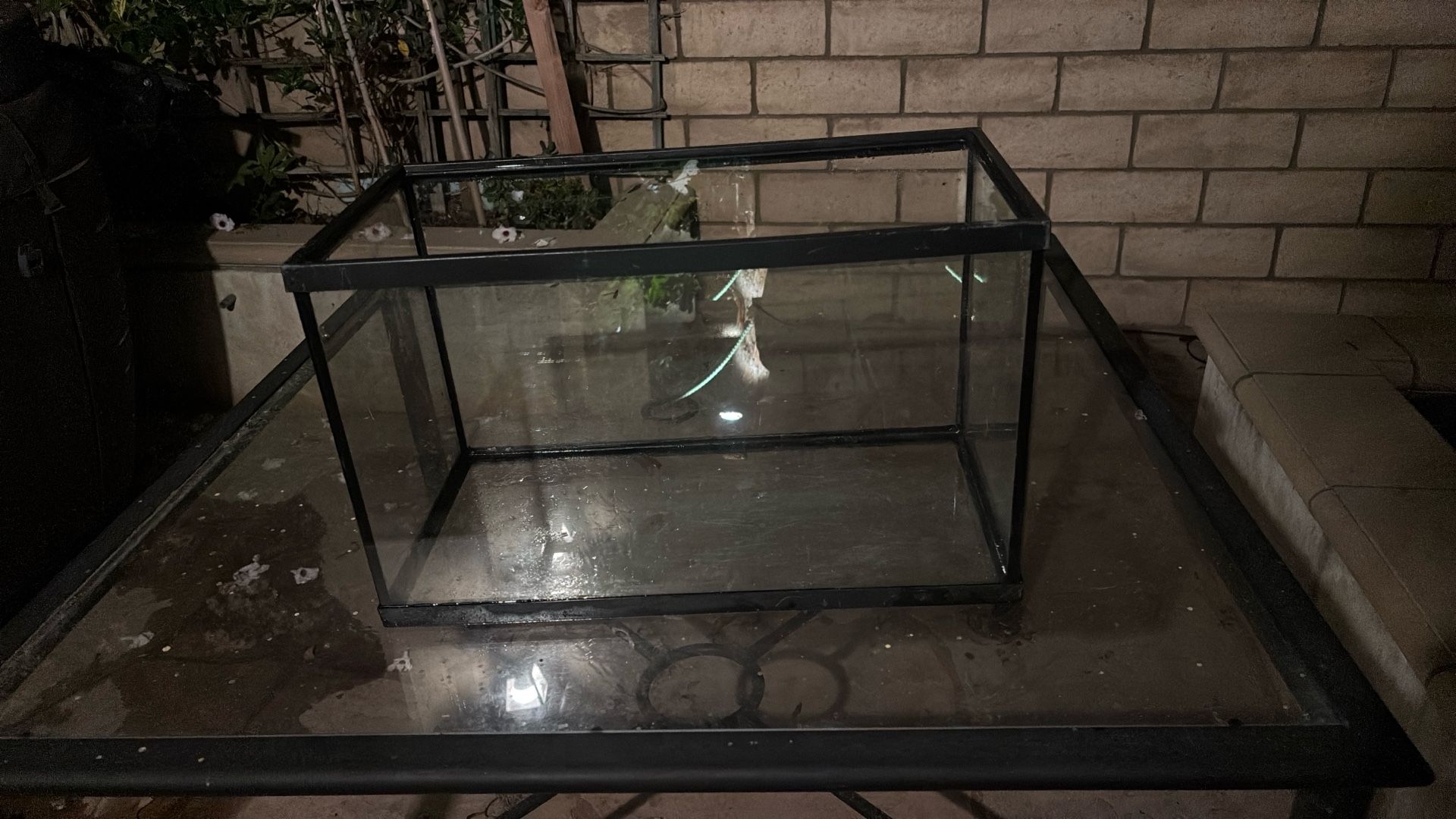 Fish Tank