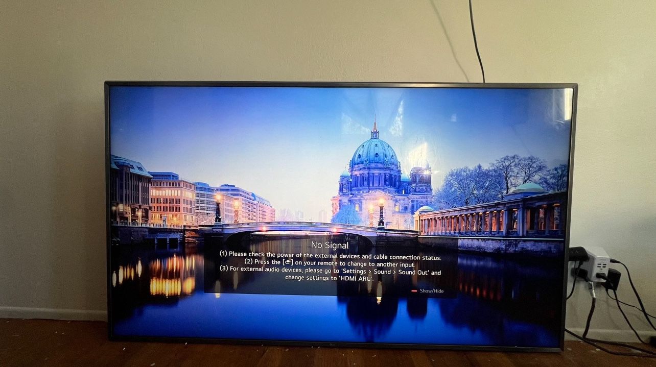75 inch (LG) TV