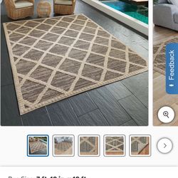 Outdoor/indoor Rug