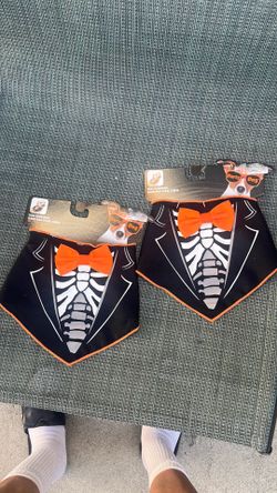 Halloween pet bandana