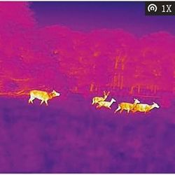 AGM GLOBAL VISION 15-384 Thermal Viewer 