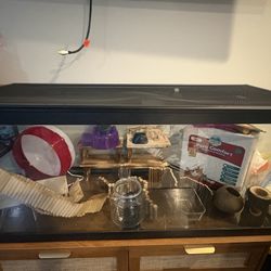 Complete Hamster/small animal Habitat Setup + Cage, Wheel, Bedding, Food, Hides & Accessories