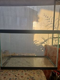Fish tank