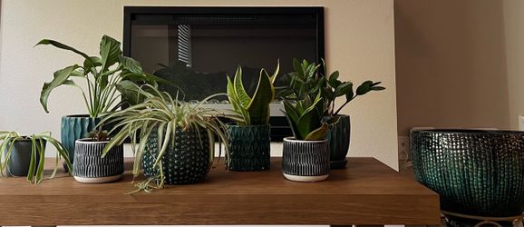 Planters