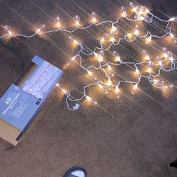 Indoor/outdoor Lights 