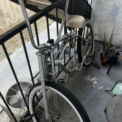 Beach Cruiser