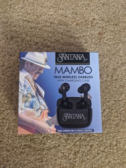 Bluetooth Earbuds