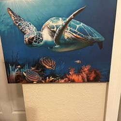 Sea Turtle On Canvas 