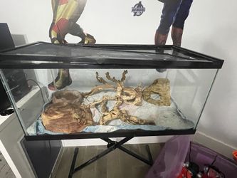 Tank With Lights For Reptiles With Accessories