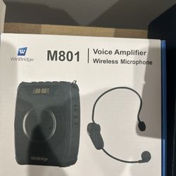Voice Amplifier!