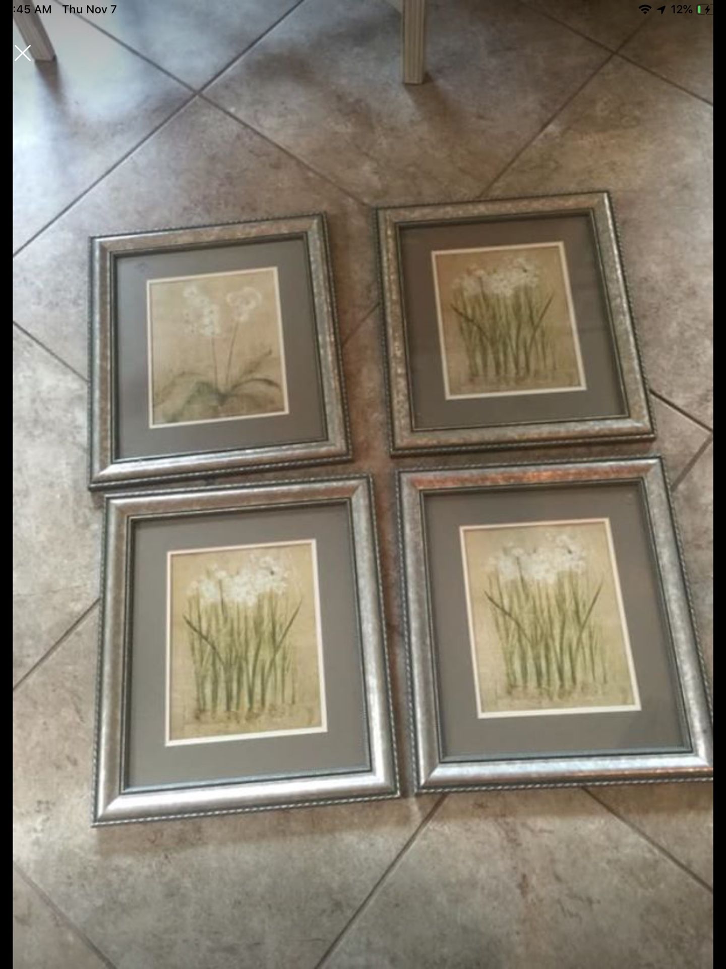 4 Framed Narcissus and Orchids by Cheri Blum Flower Wall Pictures