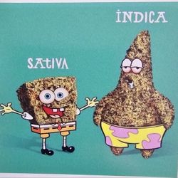 Spongebob Patrick Vinyl Decal