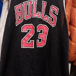 Authentic Michael Jordan Champion Jersey