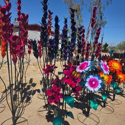 Spring has sprung 🌸colorful ocotillos
🌵southwest metal Art decor🐸pots