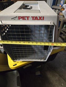 Pet Taxi
