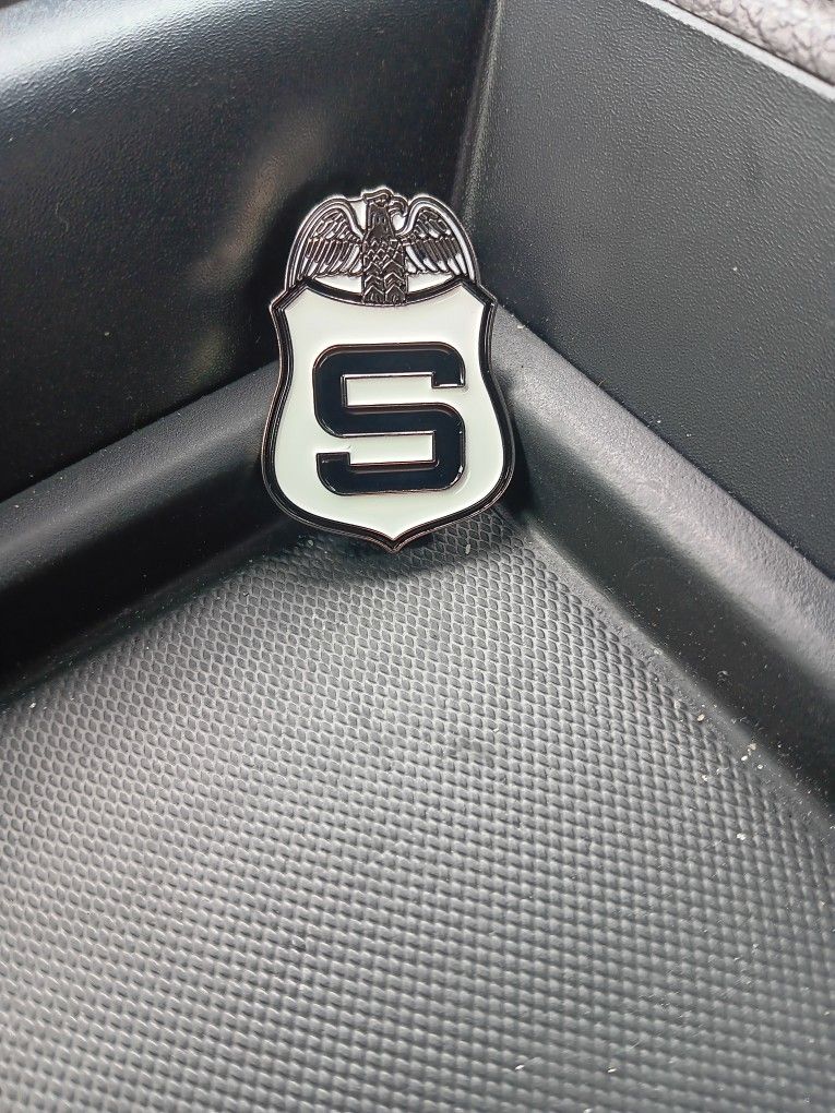 Homeland Security Pin  Collectable