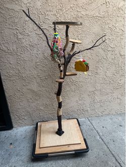 Bird tree stand