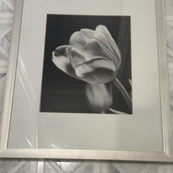 Framed Black And White Print 