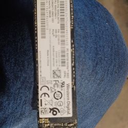 Western Digital Ssd