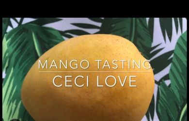Ceci love mango tree
