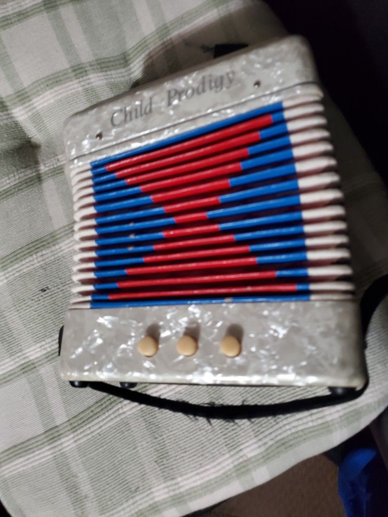 Child Prodigy Accordion 🪗