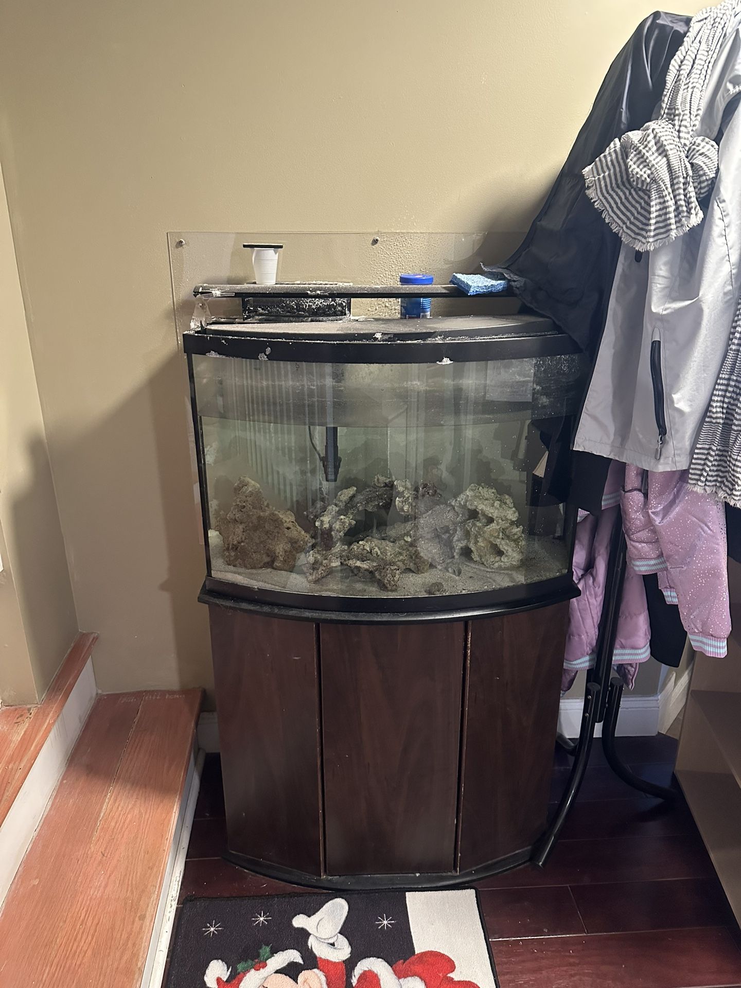 Salt Water Fish Tank
