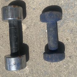 2 Dumbbells For Body Builders