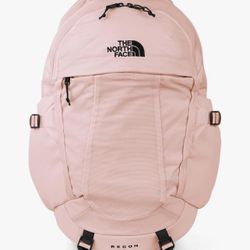 Pink North face Backpack