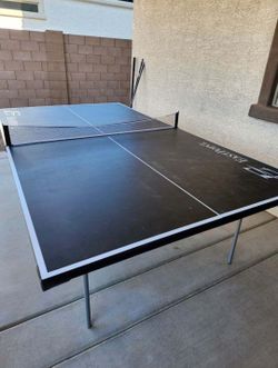 Ping Pong Table