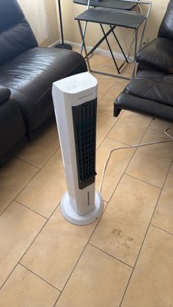 Fan