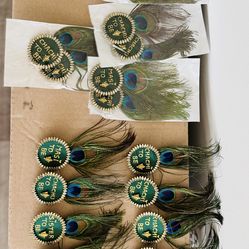 Amazing “to be” peacock feathers