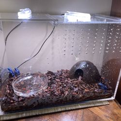 Dart Enclosure Full Setup 