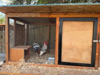Trixie Outdoor Wooden Chicken Coop