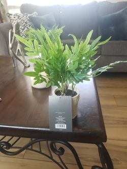 Small Artificial Ribbon Fern Leaf In Pot