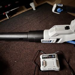 Blower Just Needs Battery 