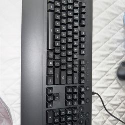 G213 Prodigy Gaming Keyboard