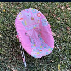 Baby Bouncer