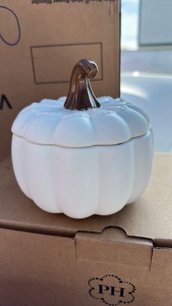 Princes house pumpkin set