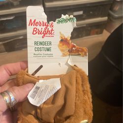 Merry and bright, Raindeer costume reptile costume