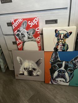 Frenchie Canvas Photos