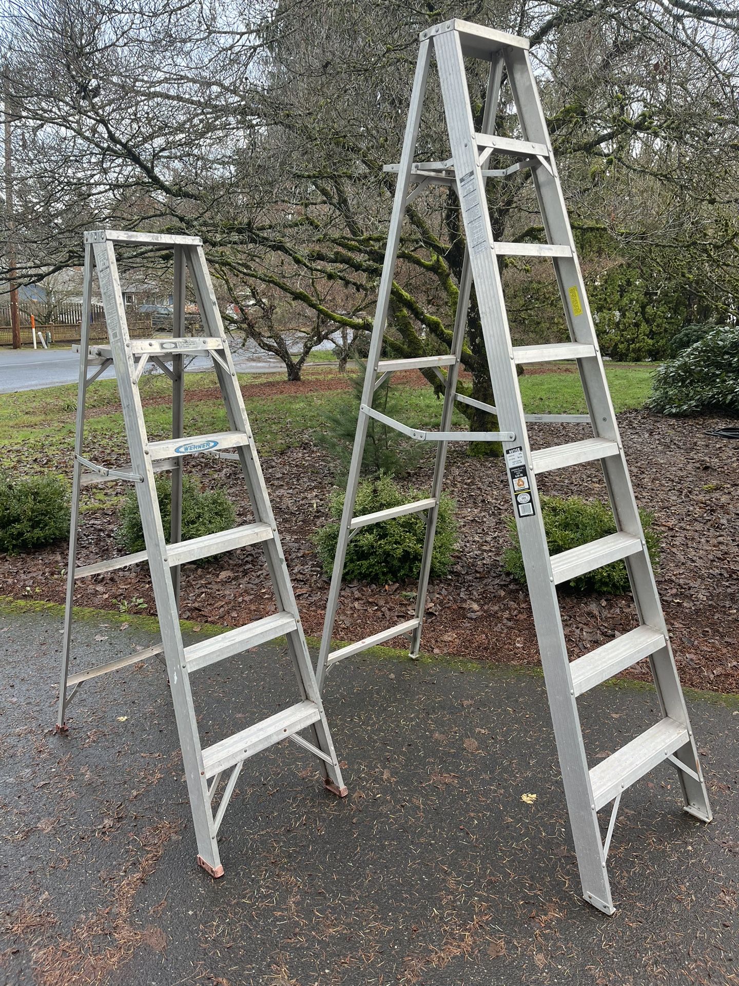 Ladders (6ft And 8ft)