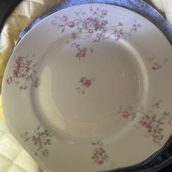 Joseph Horne China Pittsbugh 1926  