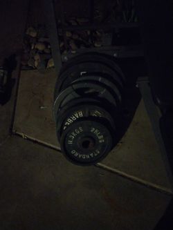 Weight Bench And Weight
