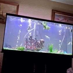Fish Tank, Koi & Accessories, LED remote lights 